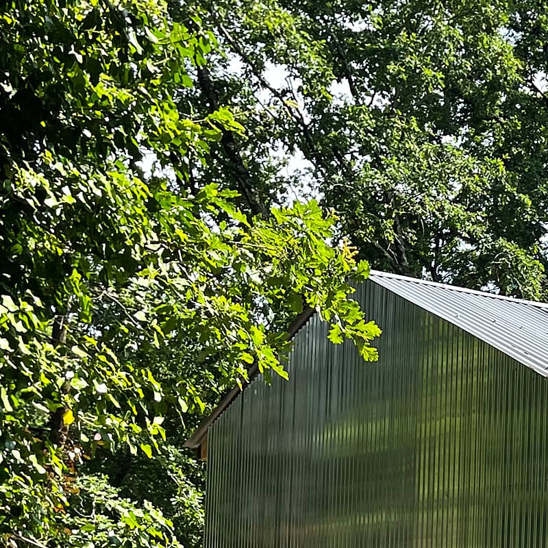 détail montrant comment la végétation se reflète dans la façade en aluminium